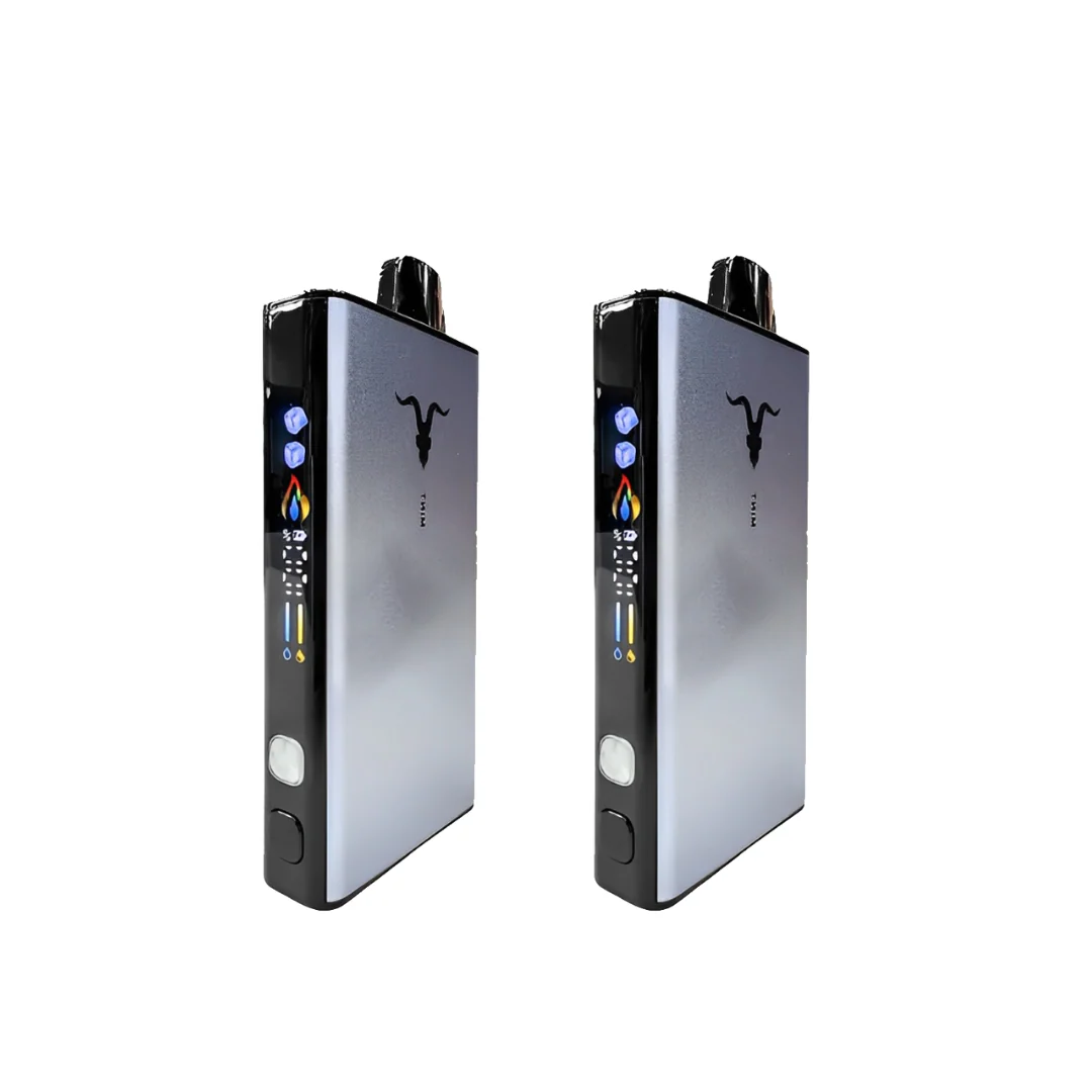 IGNITE ICE V400 40.000 PUFFS - 02 UNIDADES 